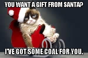 Compliance Cat Holidays | YOU WANT A GIFT FROM SANTA? I'VE GOT SOME COAL FOR YOU. | image tagged in compliance cat holidays | made w/ Imgflip meme maker