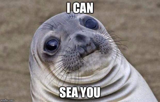 Bad pun | I CAN; SEA YOU | image tagged in memes,awkward moment sealion | made w/ Imgflip meme maker