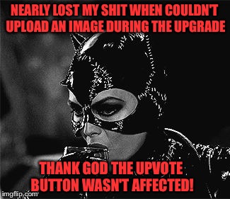 Don't make me go Batshit up in here! | NEARLY LOST MY SHIT WHEN COULDN'T UPLOAD AN IMAGE DURING THE UPGRADE; THANK GOD THE UPVOTE BUTTON WASN'T AFFECTED! | image tagged in droll catwoman,meanwhile on imgflip,shut up and take my upvote,imgflip humor | made w/ Imgflip meme maker