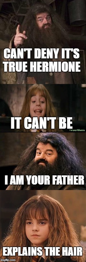 cant deny | CAN'T DENY IT'S TRUE HERMIONE; IT CAN'T BE; I AM YOUR FATHER; EXPLAINS THE HAIR | image tagged in it is what it is | made w/ Imgflip meme maker