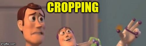 CROPPING | made w/ Imgflip meme maker