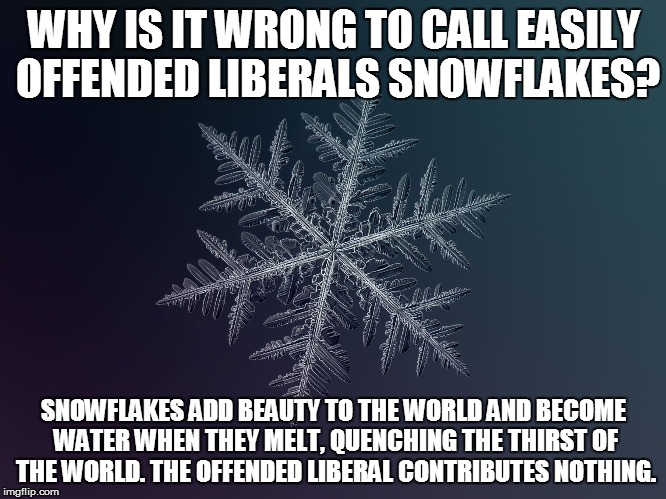 snowflake | WHY IS IT WRONG TO CALL EASILY OFFENDED LIBERALS SNOWFLAKES? SNOWFLAKES ADD BEAUTY TO THE WORLD AND BECOME WATER WHEN THEY MELT, QUENCHING THE THIRST OF THE WORLD. THE OFFENDED LIBERAL CONTRIBUTES NOTHING. | image tagged in snowflake | made w/ Imgflip meme maker