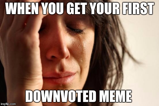 First World Problems | WHEN YOU GET YOUR FIRST; DOWNVOTED MEME | image tagged in memes,first world problems | made w/ Imgflip meme maker