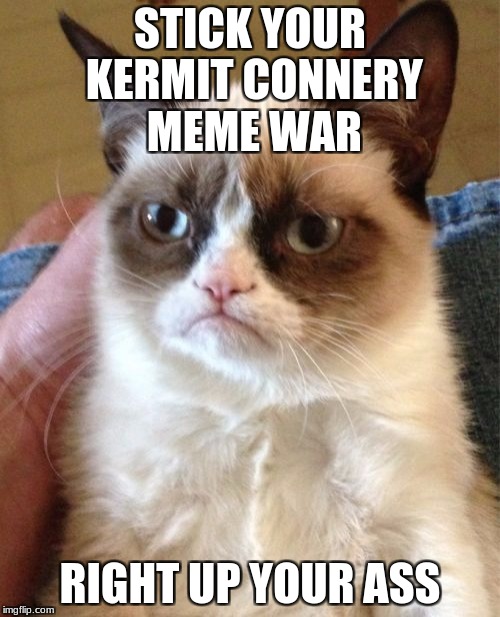 Grumpy Cat Meme | STICK YOUR KERMIT CONNERY MEME WAR; RIGHT UP YOUR ASS | image tagged in memes,grumpy cat | made w/ Imgflip meme maker