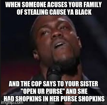 WHEN SOMEONE ACUSES YOUR FAMILY OF STEALING CAUSE YA BLACK; AND THE COP SAYS TO YOUR SISTER "OPEN UR PURSE" AND SHE HAD SHOPKINS IN HER PURSE SHOPKINS | image tagged in funny memes | made w/ Imgflip meme maker