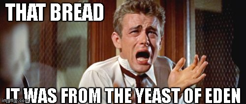 THAT BREAD IT WAS FROM THE YEAST OF EDEN | image tagged in tearing me apart | made w/ Imgflip meme maker