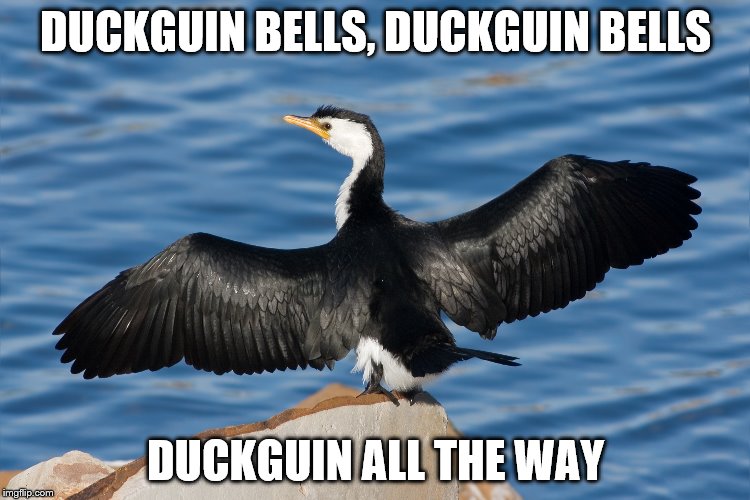 Duckguin | DUCKGUIN BELLS, DUCKGUIN BELLS; DUCKGUIN ALL THE WAY | image tagged in duckguin | made w/ Imgflip meme maker