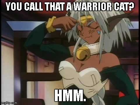YOU CALL THAT A WARRIOR CAT? HMM. | image tagged in aisha | made w/ Imgflip meme maker
