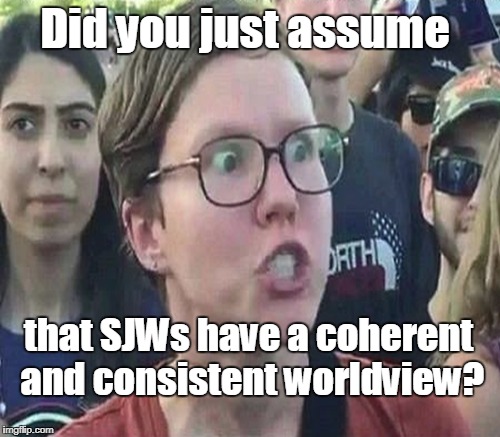 Did you just assume that SJWs have a coherent and consistent worldview? | made w/ Imgflip meme maker