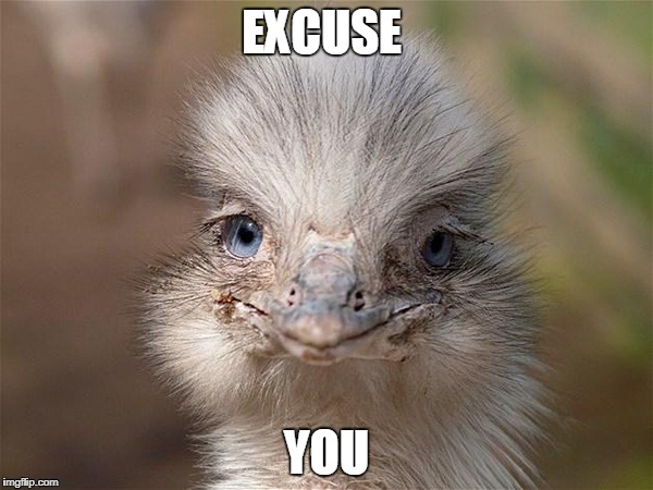 EXCUSE; YOU | image tagged in excuse me | made w/ Imgflip meme maker