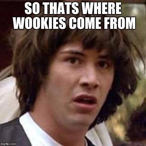 SO THATS WHERE WOOKIES COME FROM | image tagged in memes,conspiracy keanu | made w/ Imgflip meme maker