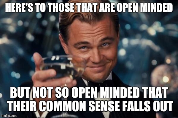 Leonardo Dicaprio Cheers Meme | HERE'S TO THOSE THAT ARE OPEN MINDED; BUT NOT SO OPEN MINDED THAT THEIR COMMON SENSE FALLS OUT | image tagged in memes,leonardo dicaprio cheers | made w/ Imgflip meme maker