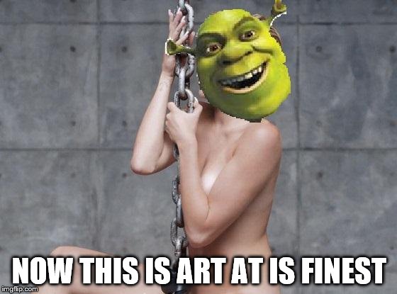 Miley Cyrus Shrek | NOW THIS IS ART AT IS FINEST | image tagged in miley cyrus shrek | made w/ Imgflip meme maker