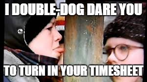 Christmas story licking pole | I DOUBLE-DOG DARE YOU; TO TURN IN YOUR TIMESHEET | image tagged in christmas story licking pole | made w/ Imgflip meme maker