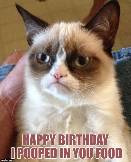 Grumpy Cat | HAPPY BIRTHDAY I POOPED IN YOU FOOD | image tagged in memes,grumpy cat | made w/ Imgflip meme maker