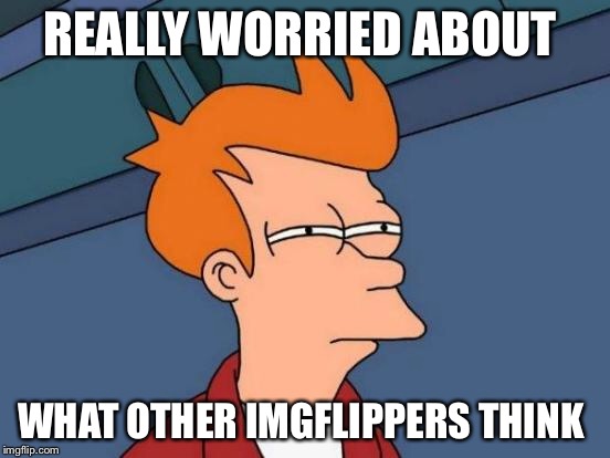 Futurama Fry | REALLY WORRIED ABOUT; WHAT OTHER IMGFLIPPERS THINK | image tagged in memes,futurama fry | made w/ Imgflip meme maker