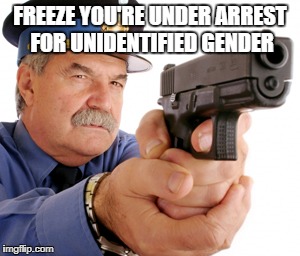 FREEZE YOU'RE UNDER ARREST FOR UNIDENTIFIED GENDER | image tagged in cop | made w/ Imgflip meme maker