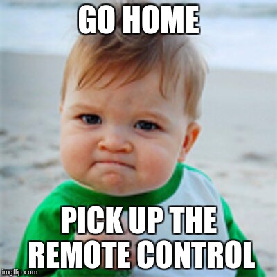 Go home | GO HOME; PICK UP THE REMOTE CONTROL | image tagged in noah | made w/ Imgflip meme maker