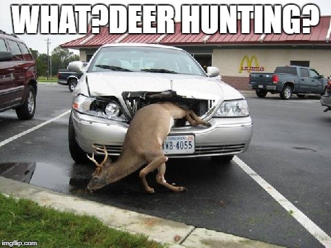 WHAT?DEER HUNTING? | made w/ Imgflip meme maker