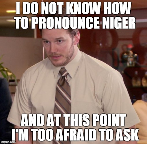 Afraid To Ask Andy Meme | I DO NOT KNOW HOW TO PRONOUNCE NIGER; AND AT THIS POINT I'M TOO AFRAID TO ASK | image tagged in memes,afraid to ask andy | made w/ Imgflip meme maker