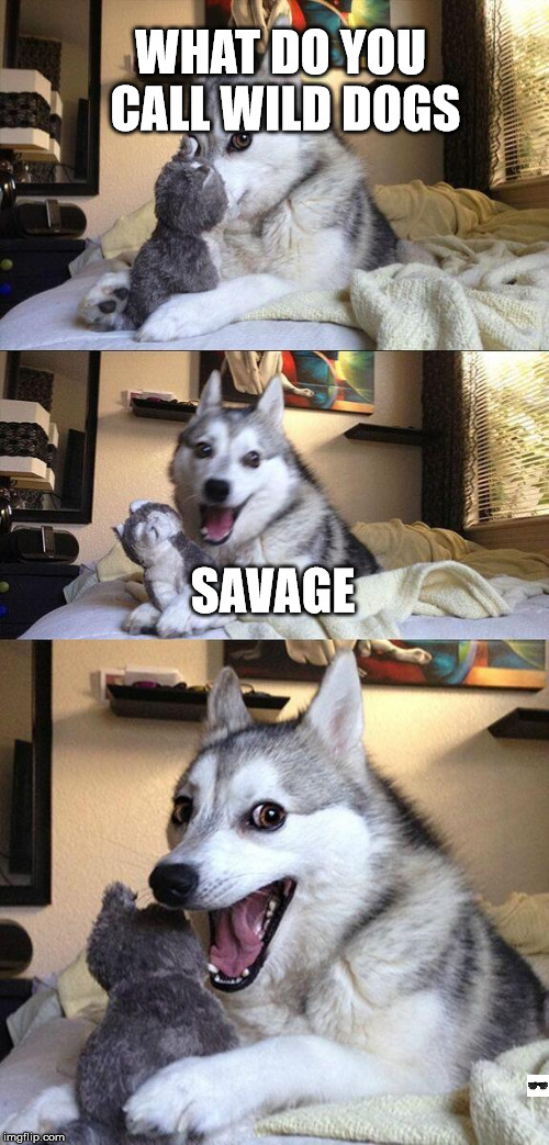 Bad Pun Dog Meme | WHAT DO YOU CALL WILD DOGS; SAVAGE | image tagged in memes,bad pun dog | made w/ Imgflip meme maker