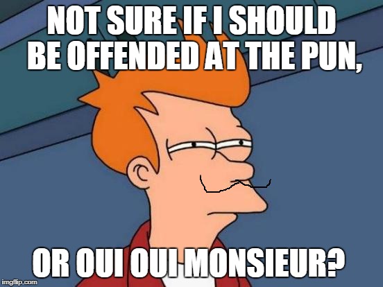 Futurama Fry Meme | NOT SURE IF I SHOULD BE OFFENDED AT THE PUN, OR OUI OUI MONSIEUR? | image tagged in memes,futurama fry | made w/ Imgflip meme maker