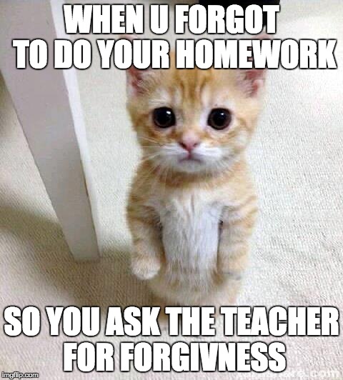 Cute Cat | WHEN U FORGOT TO DO YOUR HOMEWORK; SO YOU ASK THE TEACHER FOR FORGIVNESS | image tagged in memes,cute cat | made w/ Imgflip meme maker