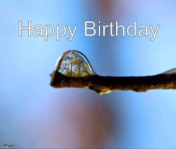 Forest in a dew drop | Happy Birthday | image tagged in happy birthday | made w/ Imgflip meme maker