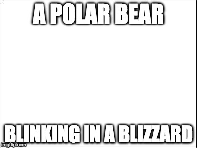 I love nature. | A POLAR BEAR; BLINKING IN A BLIZZARD | image tagged in blank,polar bear,blizzard | made w/ Imgflip meme maker