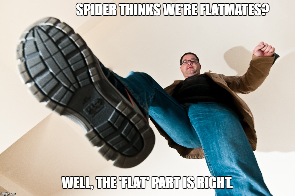 spider flatmate | SPIDER THINKS WE'RE FLATMATES? WELL, THE 'FLAT' PART IS RIGHT. | image tagged in spider,stomp,man,boots,timberlands,size 15 | made w/ Imgflip meme maker
