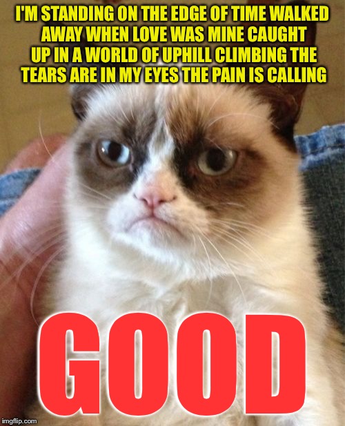 Grumpy Cat | I'M STANDING ON THE EDGE OF TIME
WALKED AWAY WHEN LOVE WAS MINE
CAUGHT UP IN A WORLD OF UPHILL CLIMBING
THE TEARS ARE IN MY EYES THE PAIN IS CALLING; GOOD | image tagged in memes,grumpy cat,barry manilow | made w/ Imgflip meme maker