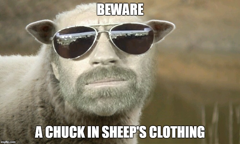 Chuck Norris sheep | BEWARE; A CHUCK IN SHEEP'S CLOTHING | image tagged in chuck norris,memes,sheep | made w/ Imgflip meme maker