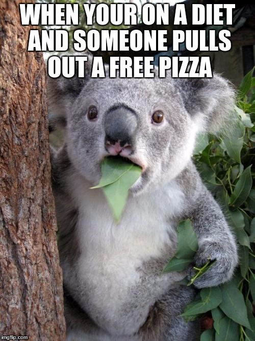 Surprised Koala Meme | WHEN YOUR ON A DIET AND SOMEONE PULLS OUT A FREE PIZZA | image tagged in memes,surprised koala | made w/ Imgflip meme maker