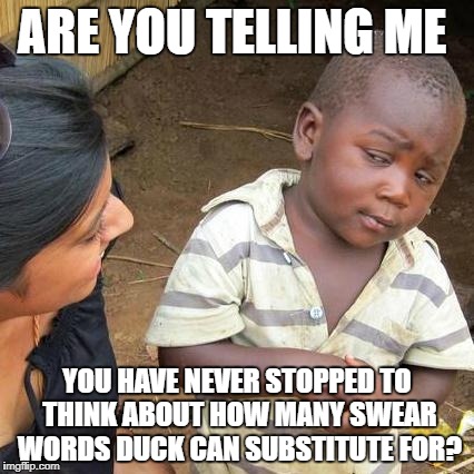 Duck is Amazing | ARE YOU TELLING ME; YOU HAVE NEVER STOPPED TO THINK ABOUT HOW MANY SWEAR WORDS DUCK CAN SUBSTITUTE FOR? | image tagged in memes,third world skeptical kid | made w/ Imgflip meme maker
