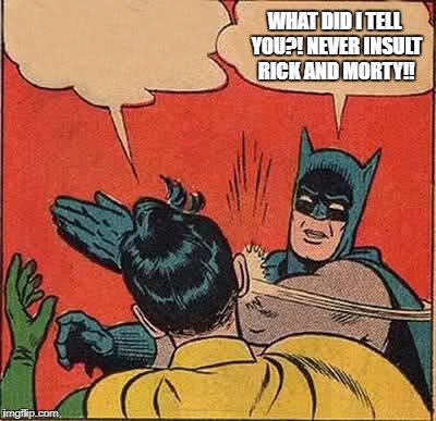 Batman Slapping Robin | WHAT DID I TELL YOU?! NEVER INSULT RICK AND MORTY!! | image tagged in memes,batman slapping robin | made w/ Imgflip meme maker