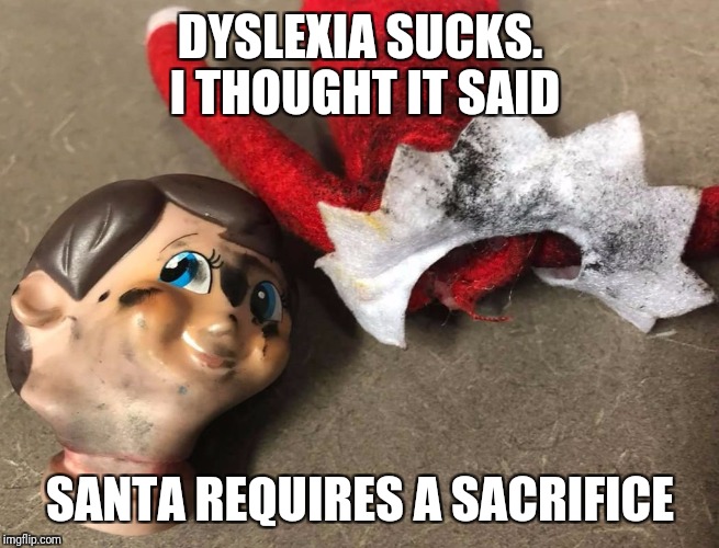DYSLEXIA SUCKS. I THOUGHT IT SAID; SANTA REQUIRES A SACRIFICE | image tagged in elf | made w/ Imgflip meme maker
