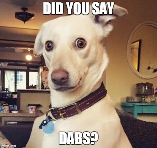 DID YOU SAY; DABS? | image tagged in dabs | made w/ Imgflip meme maker
