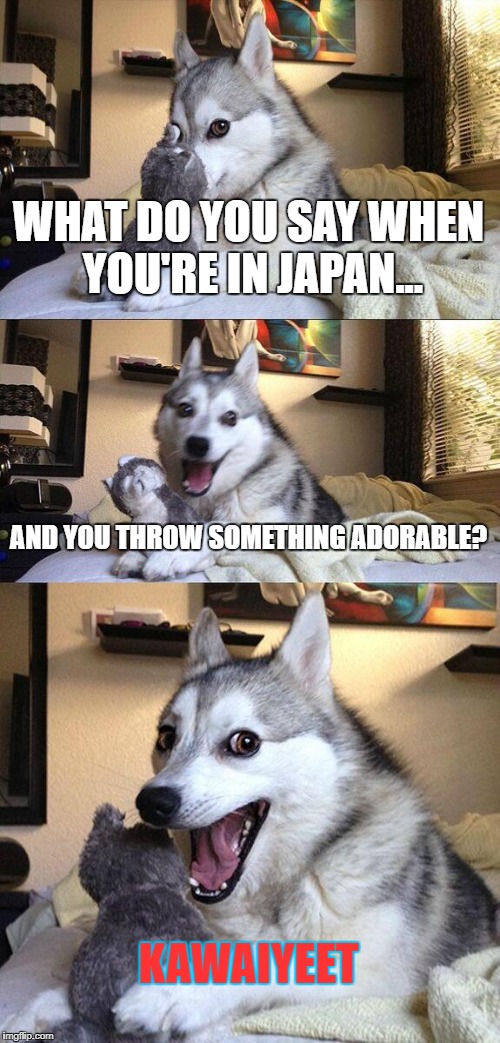 Bad Pun Dog | WHAT DO YOU SAY WHEN YOU'RE IN JAPAN... AND YOU THROW SOMETHING ADORABLE? KAWAIYEET | image tagged in memes,bad pun dog | made w/ Imgflip meme maker