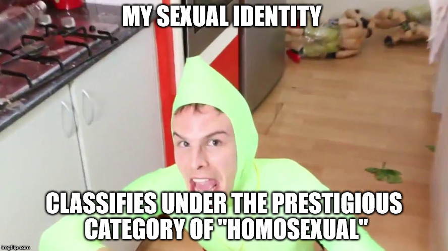 IM GAY | MY SEXUAL IDENTITY; CLASSIFIES UNDER THE PRESTIGIOUS CATEGORY OF "HOMOSEXUAL" | image tagged in im gay | made w/ Imgflip meme maker