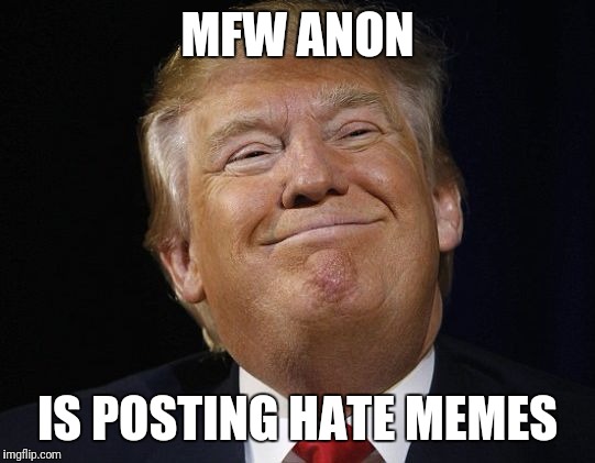 R they scared or wat? | MFW ANON; IS POSTING HATE MEMES | image tagged in trump smiles,anonymous,donald trump,mfw | made w/ Imgflip meme maker