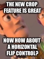 So he could be looking up and left | THE NEW CROP FEATURE IS GREAT; NOW HOW ABOUT A HORIZONTAL FLIP CONTROL? | image tagged in imgflip crop,x everywhere | made w/ Imgflip meme maker