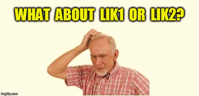 WHAT  ABOUT  LIK1  OR  LIK2? | made w/ Imgflip meme maker