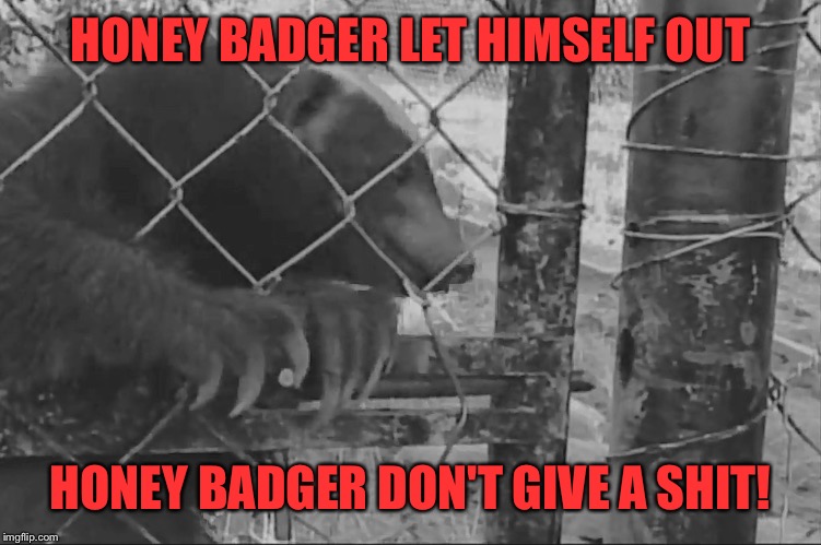 HONEY BADGER LET HIMSELF OUT HONEY BADGER DON'T GIVE A SHIT! | made w/ Imgflip meme maker