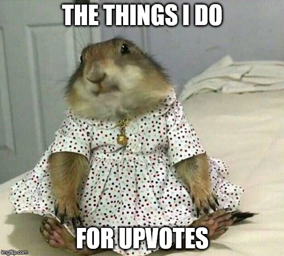 THE THINGS I DO; FOR UPVOTES | image tagged in cutie pie | made w/ Imgflip meme maker