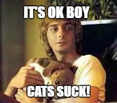 IT'S OK BOY CATS SUCK! | made w/ Imgflip meme maker