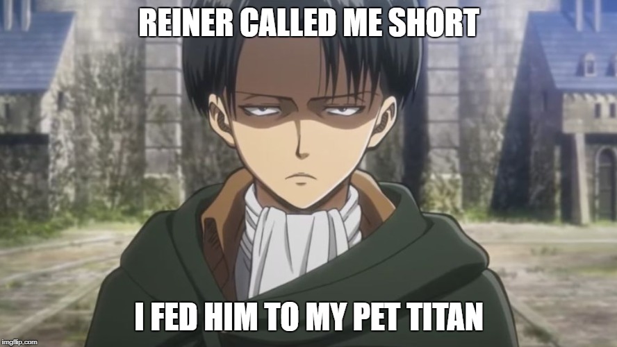 Levi, No | REINER CALLED ME SHORT; I FED HIM TO MY PET TITAN | image tagged in levi no | made w/ Imgflip meme maker
