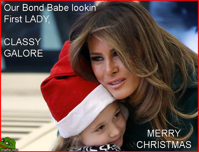 Merry Christmas Mr & Mrs Trump & Family | image tagged in merry christmas,donald trump approves,maga,melania trump,babes,current events | made w/ Imgflip meme maker