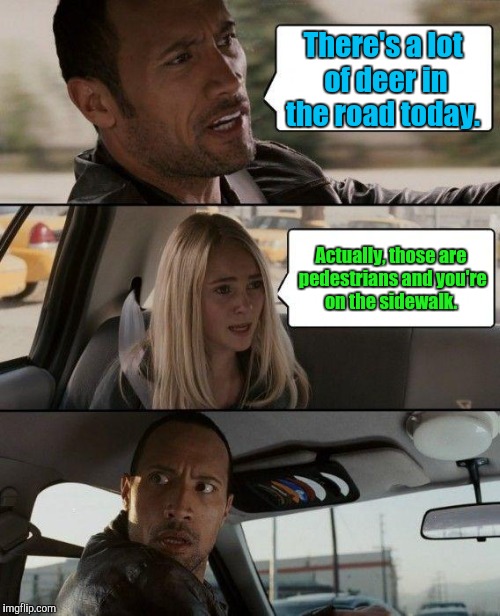 The Rock Driving Meme | There's a lot of deer in the road today. Actually, those are pedestrians and you're on the sidewalk. | image tagged in memes,the rock driving | made w/ Imgflip meme maker