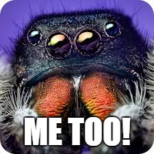 ME TOO! | made w/ Imgflip meme maker