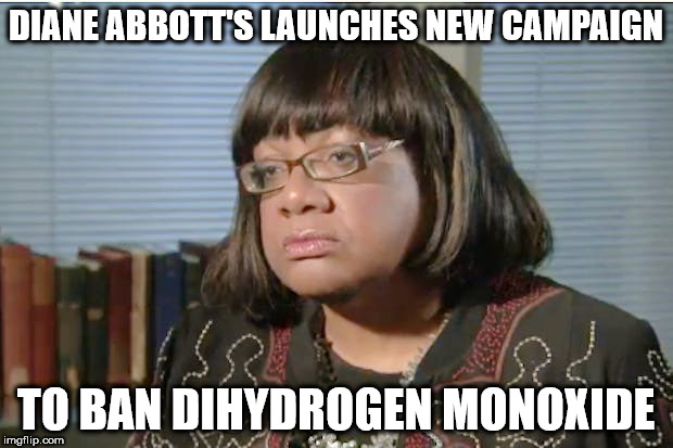 Diane Abbott - ban dihydrogen monoxide | DIANE ABBOTT'S LAUNCHES NEW CAMPAIGN; TO BAN DIHYDROGEN MONOXIDE | image tagged in diane abbott,jeremy corbyn pm,vote corbyn,party of hate,communists socialists,anti royal | made w/ Imgflip meme maker